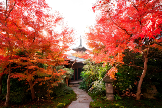 ザ  ソウドウ東山京都