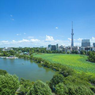 東天紅  上野店