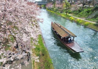 宇治川観光通船