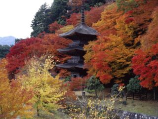 金剛院