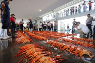 新港漁港の昼セリ