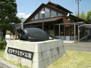 ウミガメ公園