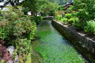 中山道 醒ヶ井宿