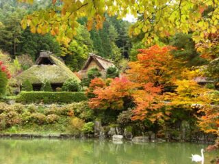 飛騨民俗村  飛騨の里