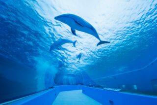 のとじま水族館