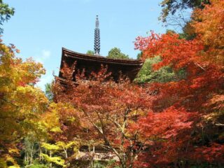 金剛輪寺